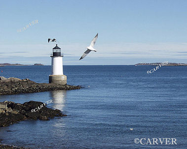 Gullhouse
A seagull soars in the foreground of this picture from Winter Island in Salem, MA.
Keywords: lighthouse; salem; seagull; winter; photograph; picture; print; blue; ocean; sea
