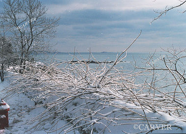 A Chilled View
From Hale St. in Beverly. Looking out over a cold Atlantic Ocean.
Keywords: winter; Beverly; snow; ice; beach; ocean; photograph; picture; print