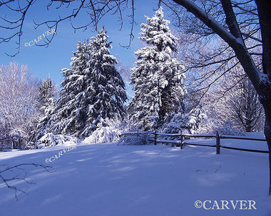 Fresh Dusting
A front yard scene in Wenham, MA on a day after a snowstorm.
Keywords: Winter; snow; blue sky; photograph; picture