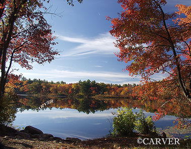 Stevens Glory
Stevens Pond in Boxford, MA on a fall morning.
Keywords: Stevens Pond; autumn; fall; foliage; water; Boxford; photograph; picture; print