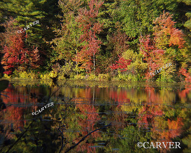 Main St. Scene
Fall colors reflect from a small pond in West Boxford, MA.
Keywords: foliage; pond; reflection; Boxford; photograph; picture; print